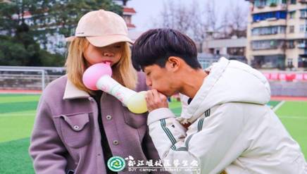 图为砖球真理